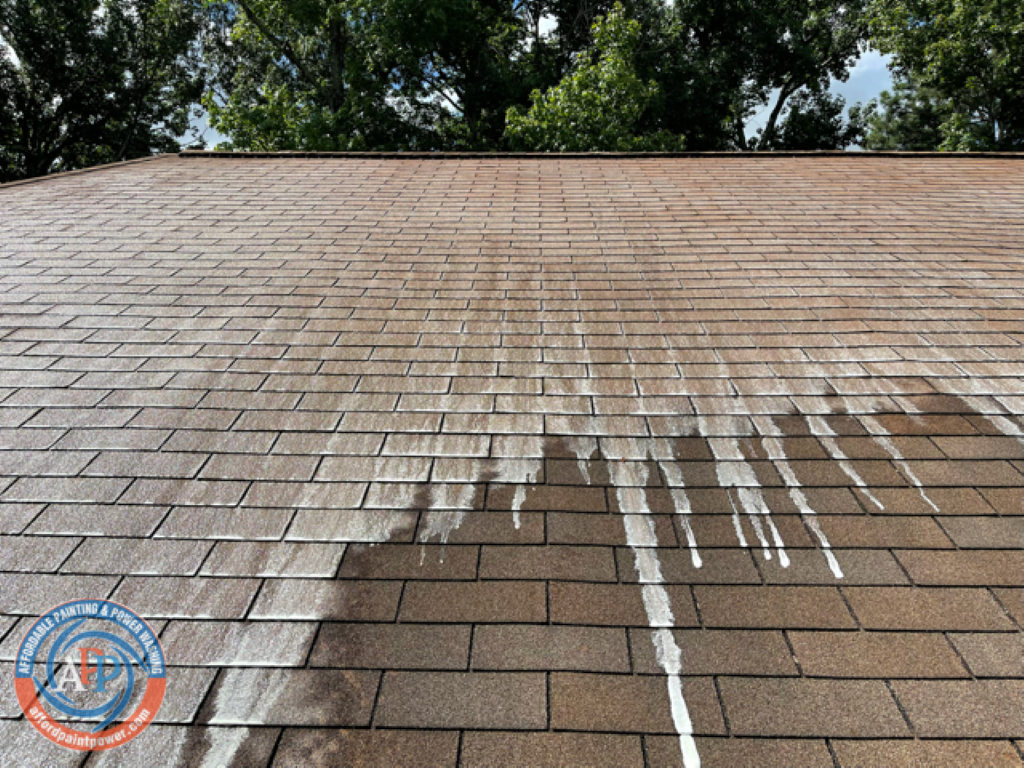 Cumming Pressure Washing