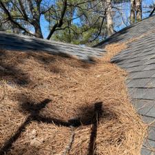 Roof Cleaning in Stone Mountain, GA 3